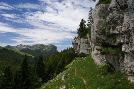 chartreuse.jpg, août 2011 chartreuse.jpg